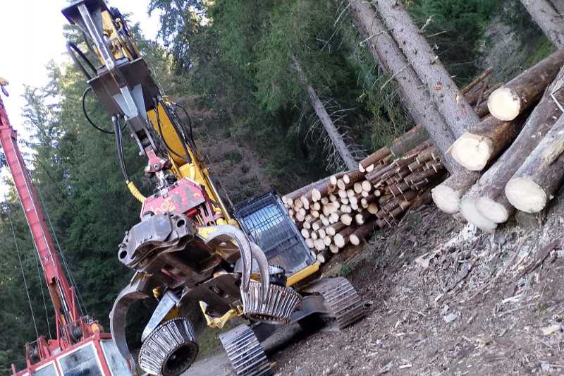 OmecoHub - Immagine NEW HOLLAND E245B